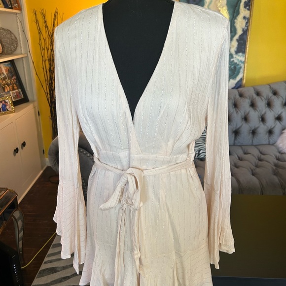 Fashion Nova cream with silver stripes short set zip up back. Plunging neckline. - Picture 7 of 12